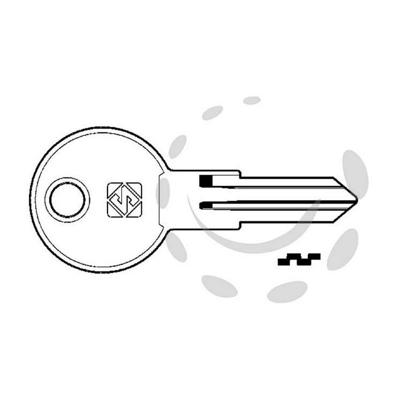 Image of 5PZ chiavi per cilindri evergood 5 spine piccole ED4 - ED4 dx