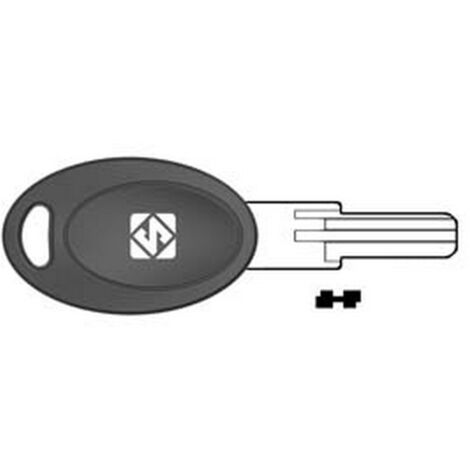 5PZ CHIAVI PUNZONATE PER CILINDRI EURO LOCKS 5 SPINE EU21P - EU21P