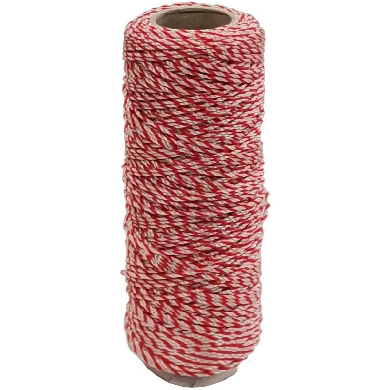 Nextradeitalia - 5PZ lenza x muratori in pp