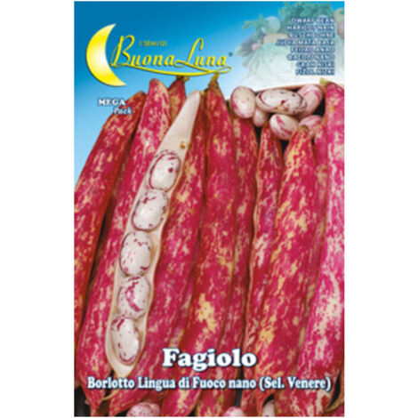 5PZ SEMI ORTO FAGIOLI NANI BORLOTTI