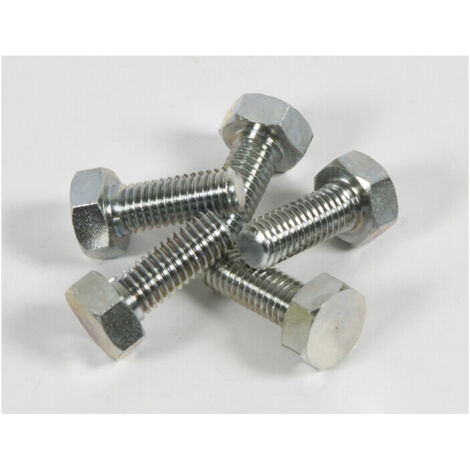 5PZ VITE FERMADISCO PER DECESPUGLIATORE 10X1,25SX MM