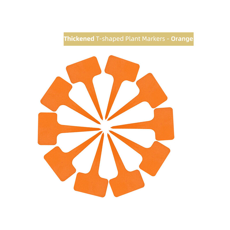 5X10CM PVC t-type etichette da giardino etichette