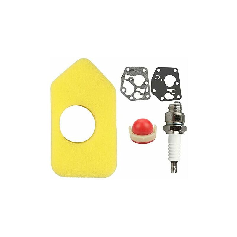 6/5000 Kit de réparation carburateur pour Briggs & Stratton 95900, 96900, 98900, 9C900 et 10A900