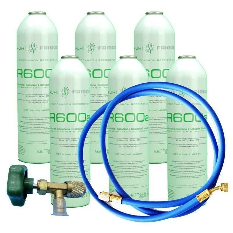

Reporshop - 6 Botellas Gas Refrigerante R600 + Manguera + Valvula 420Gr Isobutano