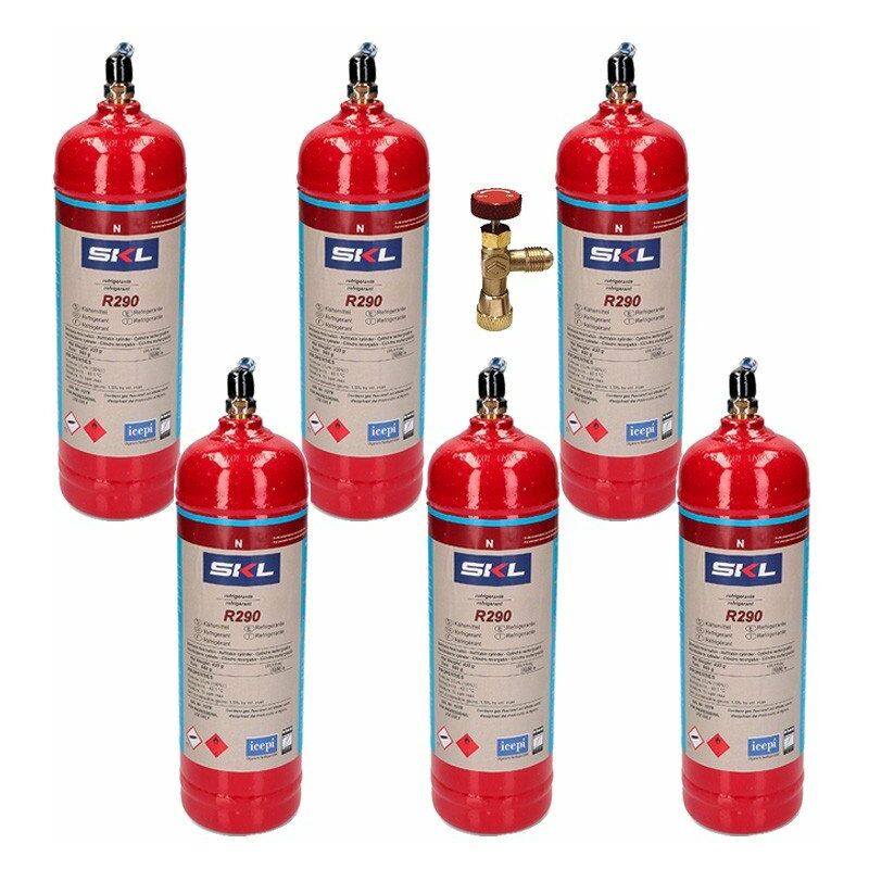 Reporshop - 6 bouteilles de gaz réfrigérant R290 + 370gr Valve propane