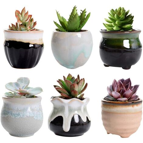 6 Pcs Pot de Fleur Céramique Mini Pot Succulentes Cactus Pot de Plante pour Maison Jardin Bureau Décoration (6 PCS)