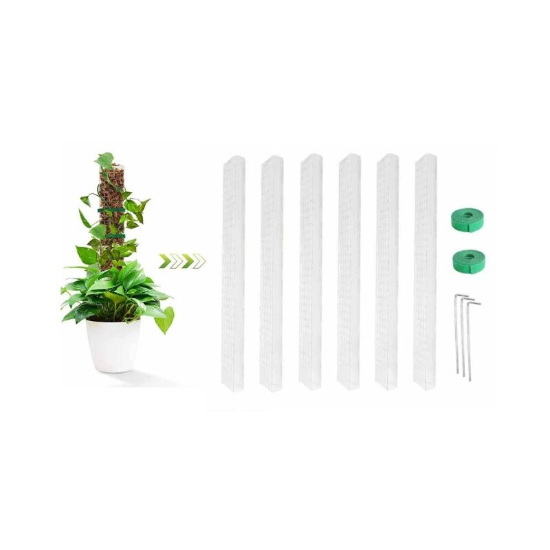 Linghhang - 6 Piece Plant Plastic Moss Pole for Plant Stake and Peat Moss Support, Climbing Plant Pole, Turtleback Moss Pole - Transparent