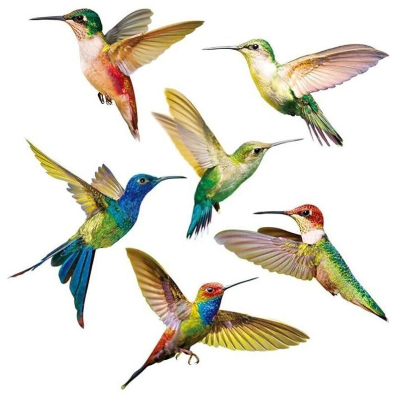 6 Pièces Autocollants Colibri,Accroche de Fenêtre d'Oiseau,Stickers Anti-Collision pour Vitres,Simplicité Modèle Colibri pvc Sticker Mural Oiseaux