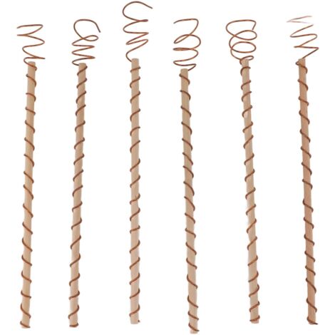 6 Pièces Piquets Électroculture Antennes Jardin Bobine Cuivre pour Croissance Plantes Légumes