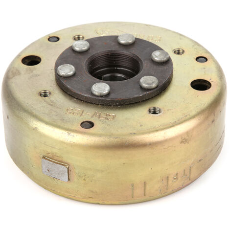 6-poliger Magneto-Stator für GY6 125cc 150cc Motor - Quad, Dirt Bike, ATV, Buggy