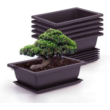 6 Stück Bonsai-Trainingstöpfe mit Tablett Blumentopf Quadratischer Sukkulente Topfpflanzen Pflanztopf für Garten,Wohnzimmer und Büro