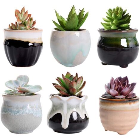 6-teiliges Keramik-Blumentopf-Set, Mini-Sukkulententopf, Kaktus-Pflanztopf für