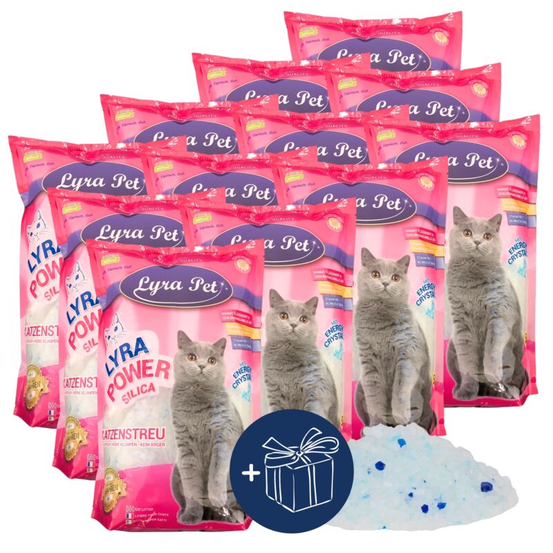 12 x 5 litres Lyra Pet® Lyra Power Silica Litière pour chats au silicate + cadeau