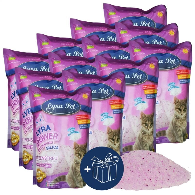 12 x 5 litres Lyra Pet Lyra Power Silica Litière agglomérante pour chat + cadeau