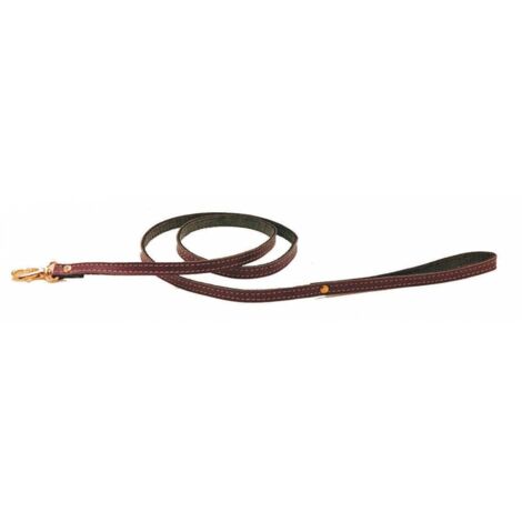6 x GUINZAGLIO P/CANI IN PELLE 10 MM X 110 CM