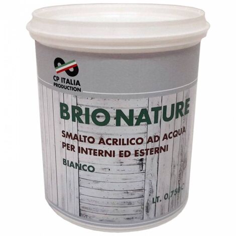 6 x SMALTO ALLACQUA BRIONATURE TERMOSIFONI BIANCO 0,75