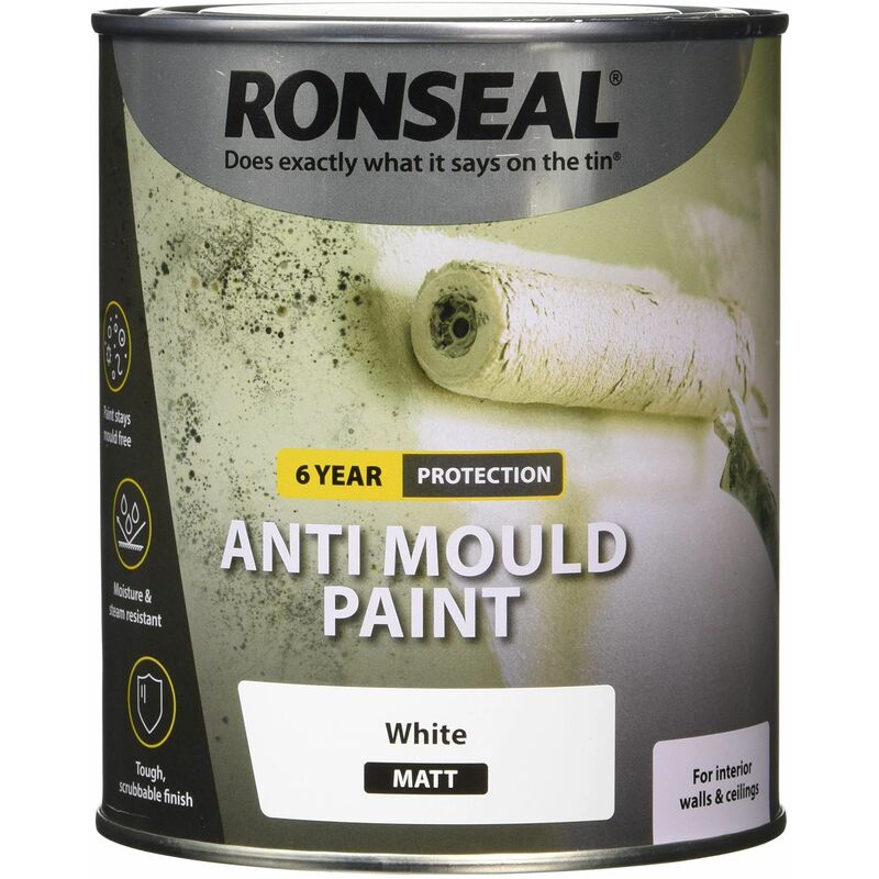 TBC - 6 Year Anti Mould Paint White Matt 750ml RSLAMPWM750