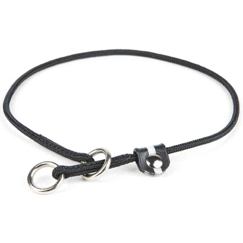 70 cm x 0,35 cm collier: Collier de dressage Julius K9 avec fermeture de sécurité pour chiens 70 cm x 0,35 cm collier: Collier de dressage Julius K9 avec fermeture de sécurité pour chiens
