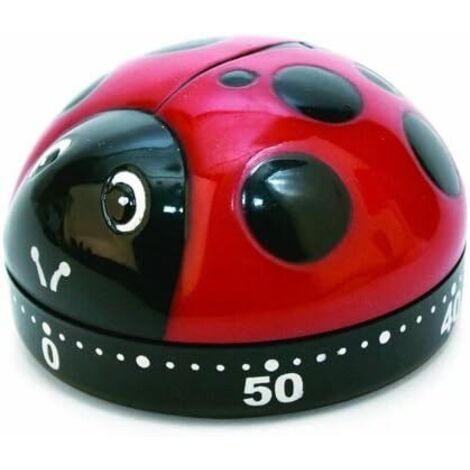 60-Minuten-Küchentimer, mechanischer Countdown-Timer