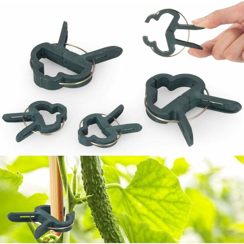 Ineasicer - 60 pièces Clips pour Plantes grimpantes Clips pour tomates Clips pour Plantes Clips pour Attache Tomate (2 Tailles)