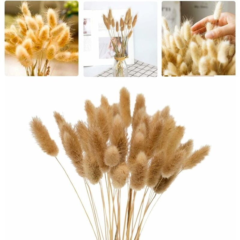 60 Pcs 40cm Fleurs Séchées Naturelles Herbe de Pampa, d'herbe Queue de Lapin Bouquet de Fleurs pour Chambre à Coucher Intérieur la Décoration de la