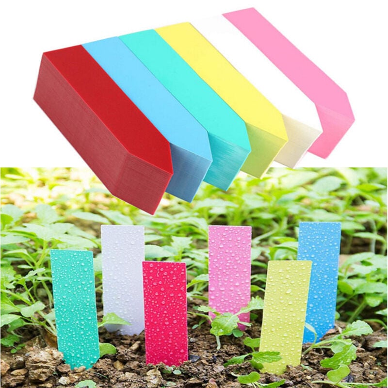 Fei Yu - 600 Pièces Étiquettes de Plantes, Etiquette Jardin Imperméable Plastique, Étiquettes en Plastique de la Plante,6 Couleurs Plantes Marqueurs