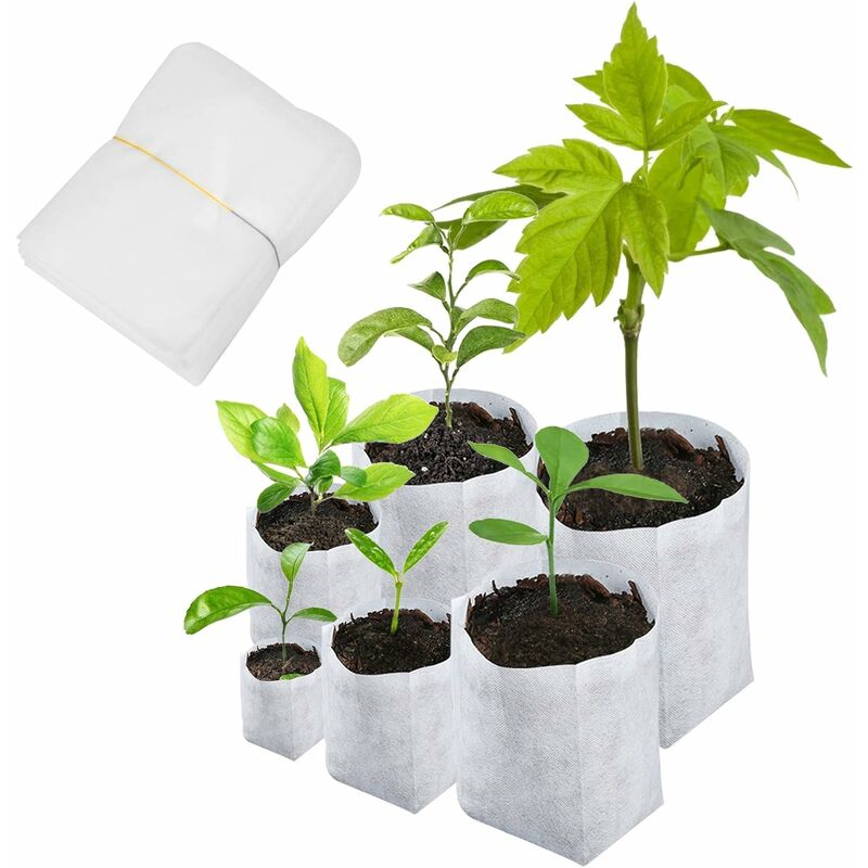 600 sacs de semis biodégradables 6 tailles de sacs de plantation non tissés pour les pommes de terre, les tomates et les plantes de jardin