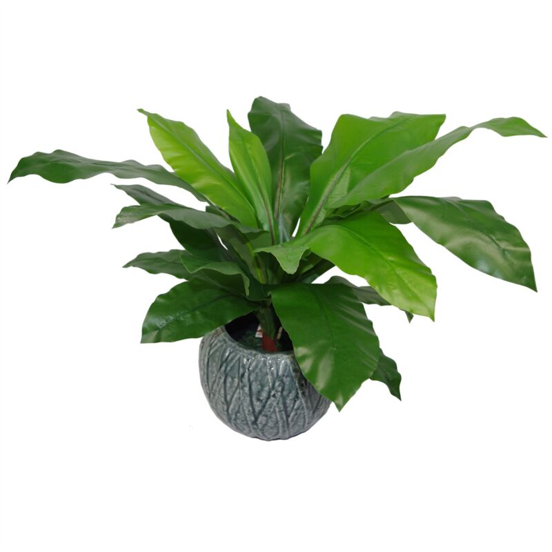 Leaf 60cm Bushy Large Artificial Bird's Nest Fern Plant