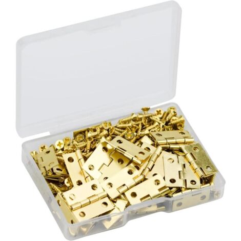 60pcs Charniere Miniature Mini Charnières Laiton Mini Charnières pour Miniature Petites Charnières pour Boite avec 240pcs Vis pour DIY Boîte Modèle J