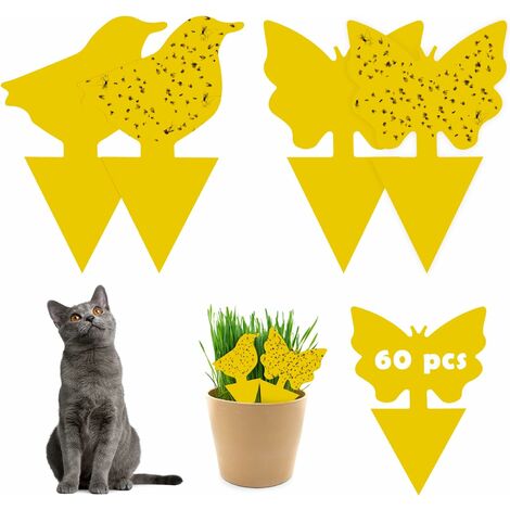 60Pcs plug-in piège à mouches plaques jaunes autocollant jaune plante de protection contre les pucerons, les mouches des feuilles et la vermine （Poulette + forme papillon）