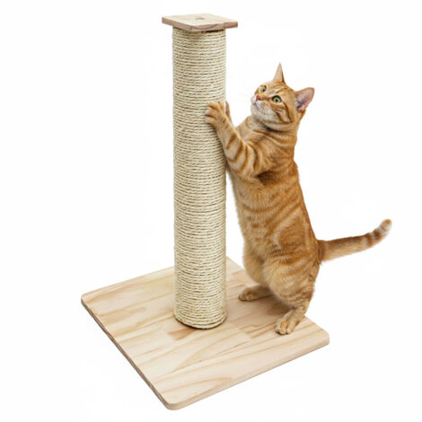 62 cm Arbre à Chat - Griffoir pour Chats avec Poteau Carré Sisal et Base Bambou