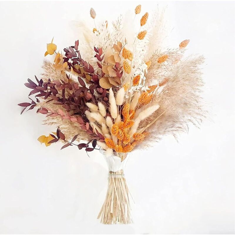 64 herbes pampa séchées + queue lapin, bouquet naturel pour fête rustique, boho, mariage, vases