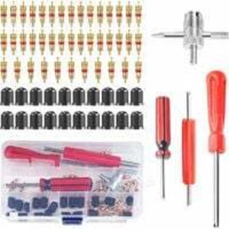64 Pièces Outils pour Valves de Pneus,  Valve Pneu, Démonte Obus de Valve des Pneus, Demonte Obus Valve Voiture, Outil de Réparation de Valve de Pneu, pour Vélo Moto Voiture Camion de Pneu