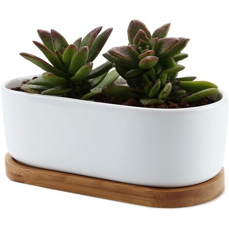 6.5 Inch Ceramic Plant Pots Indoor White Modern Oval Design Succulent Planter Pot/Cactus Plant Pot with Bamboo Tray