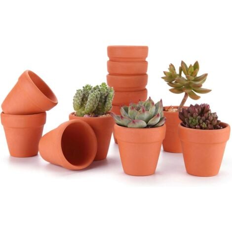 6.5CM 12pcs Pot de Succulent en Terre pour Cactus Fleurs Plantes, Terracotta Pot Argile pour Cactus Succulent Plantes Fleur Décoration Horticole Mariage Fête Maison Jardin et Chambre