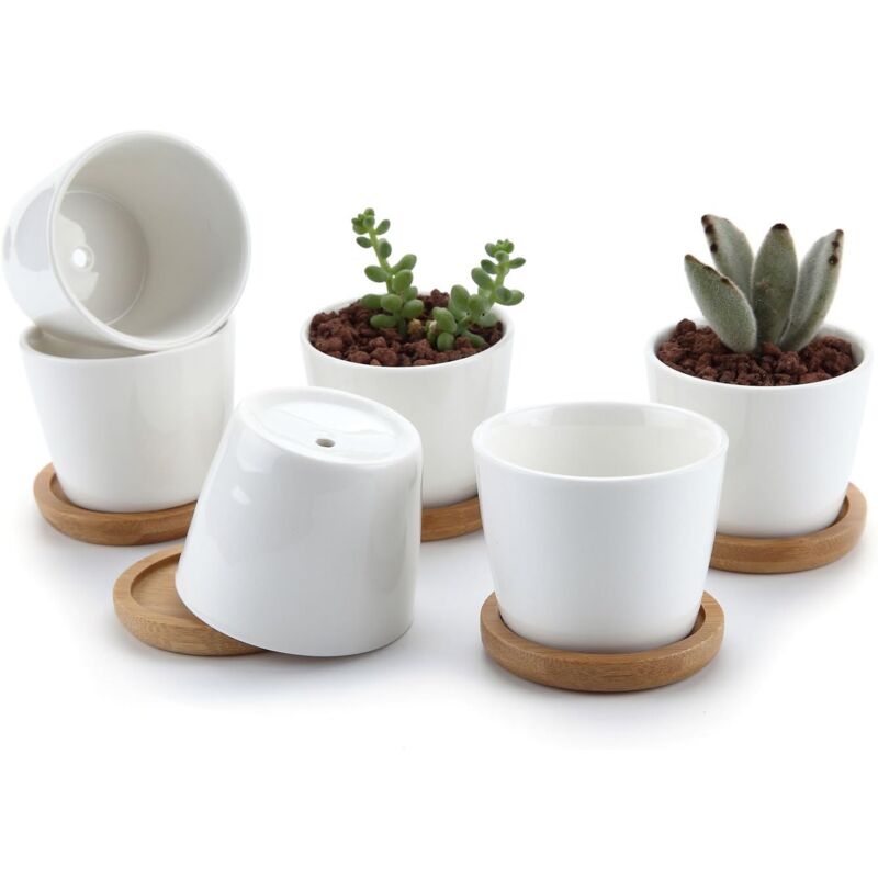 6.5CM Pot de Succulent en Céramique Blanc avec Plateau en Bambou Lot de 6, Cactus Plante Planteur Cache Pot Jardinière Contenant Cadeau pour