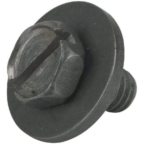 691082 - Vis pour moteur BRIGGS et STRATTON