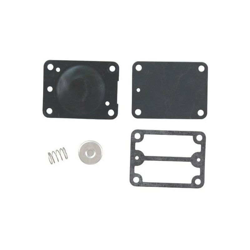 Briggs&stratton - 693502 - Kit pompe à essence pour moteur briggs et stratton