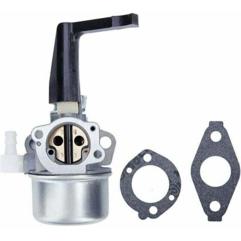 696065 697422 Carburateur avec joint de montage adapté pour Briggs & Stratton 110402 110412 215369 Moteur de motoculteur Carb Rototiller Troy Générateur Intek Moteur 696065 697422 696065 697422