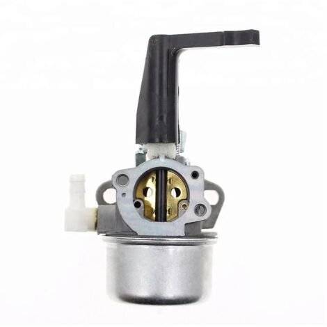 696065 697422 carburateur pour Briggs & Stratton 110402 110412 215369 motoculteur pièces de rechange carburateur Carb