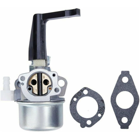 696065 697422 Vergaser mit Montagedichtung passend für Briggs & Stratton 110402 110412 215369 Motor für Motorhacken, Troy Generator, Intek Motor 696065 697422 696065 697422