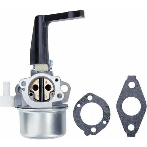 696065 697422 Vergaser mit Montagedichtung passend für Briggs & Stratton 110402 110412 215369 Motor für Motorhacken, Troy Generator, Intek Motor 696065 697422 696065 697422