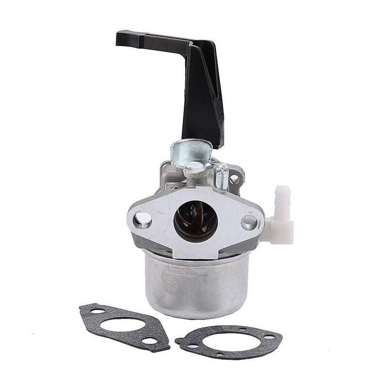 Fei Yu - 696065 Carburateur de remplacement avec kit de joint pour Briggs & Stratton