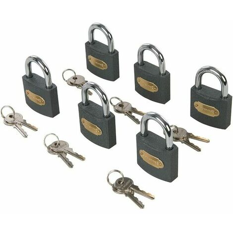 (6pcs)Lot de 6 cadenas en fer à clés identiques - 50 mm
