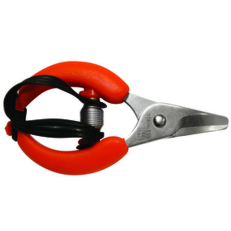 6PZ FORBICI PER AGRUMI LAME INOX