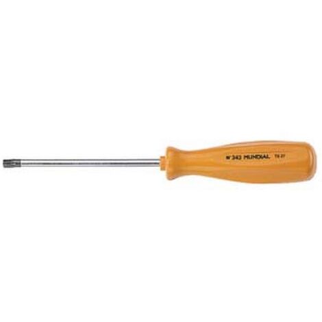 6PZ GIRAVITE CON IMPRONTA TORX  - T20