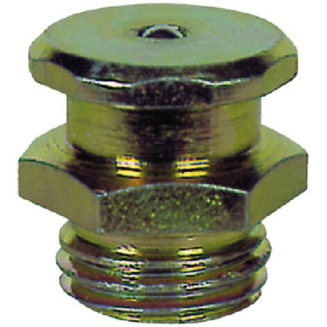 6PZ INGRASSATORE TIPO TECALEMIT 1/4