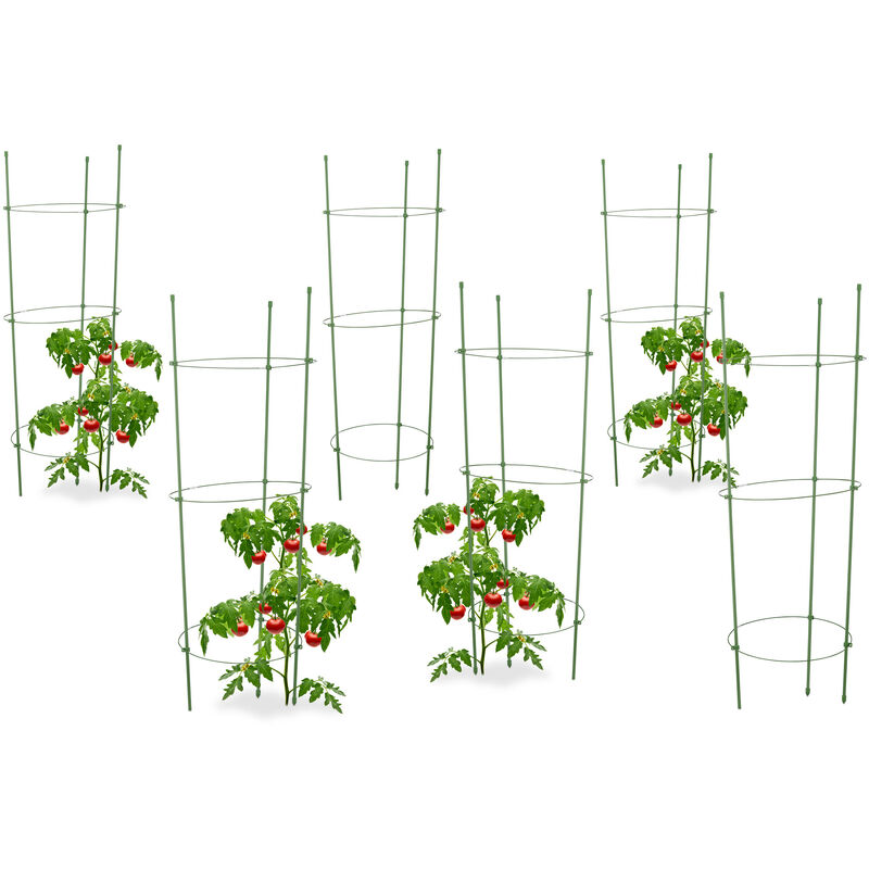 6x Cage à tomates Tuteur plantes grimpantes, support à 3 anneaux, jardin, balcon, set de 2, 76 cm long, vert
