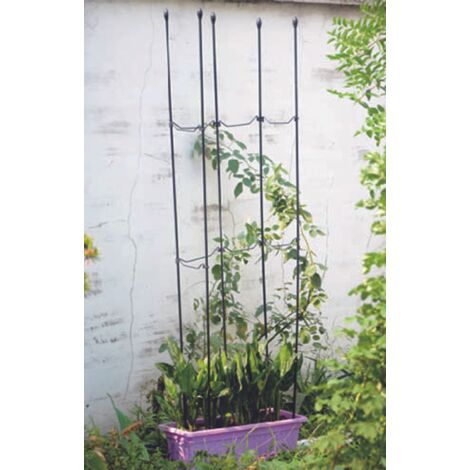 6x Rankhilfe Set 1,5m Kletterpflanzen Stab Stützen Gartenspalier Rosen Orchideen
