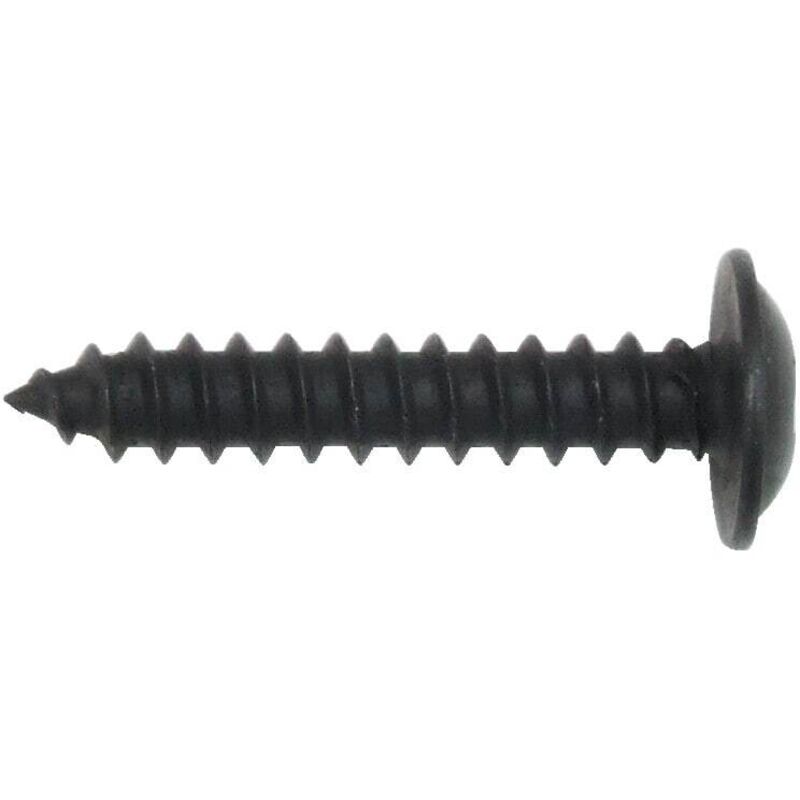 Zoro Select - 10X1 (4.8X25) Pozi Flange Head Self Taps ab Black- you get 25